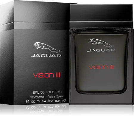 Jaguar Vision III